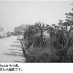 昭和40年代中頃。道路は未舗装です。-鳥取砂丘らくだや