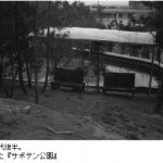 昭和40年代後半。サボテン公園。らくだや駐車場の前身です。-鳥取砂丘らくだや